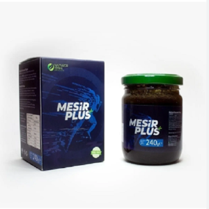 Mesir Plus